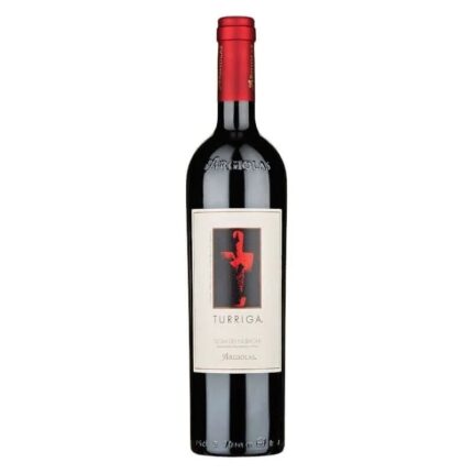 Isola dei Nuraghi Rosso IGT “Turriga” 2014 - Argiolas