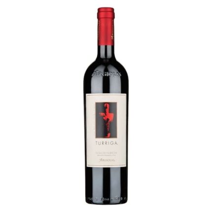 Isola dei Nuraghi Rosso IGT "Turriga" 2019 - Argiolas